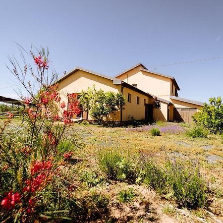 אלברזה Agriturismo Bio Podere 109 - Wine&Food מראה חיצוני תמונה