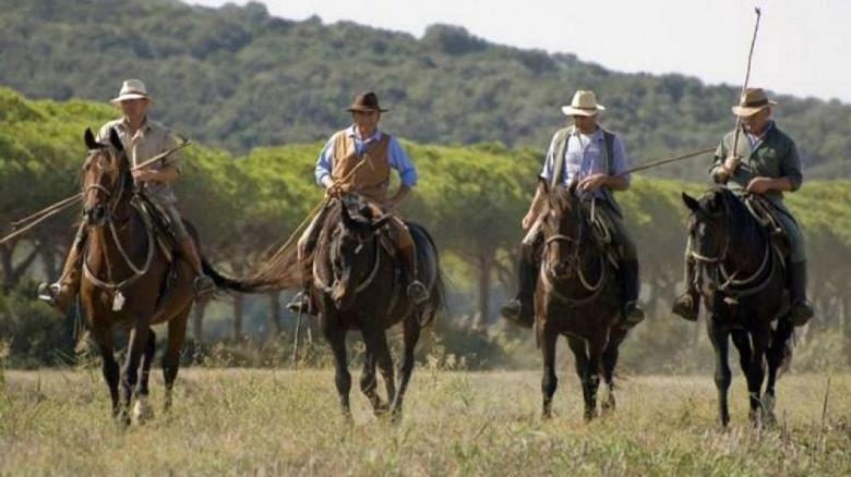 אלברזה Agriturismo Bio Podere 109 - Wine&Food מראה חיצוני תמונה